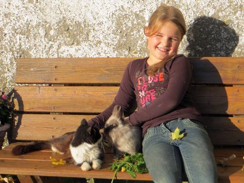 Hase und Katze