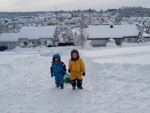 Schlittenfahren_im_Urlaub