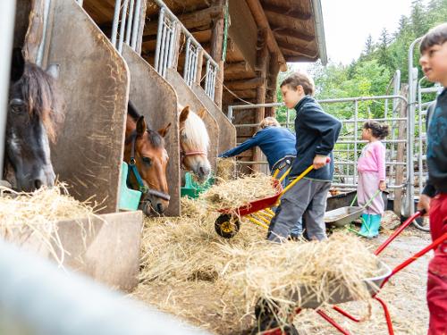 Hilserhof_Tierfütterung_lowres-13 Hilserhof_Tierfütterung_lowres-13