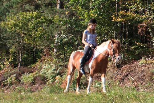 Beim Ponyreiten