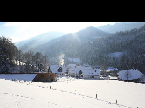 Grundhof im Winter