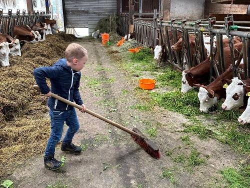 Jonas bei der Stallarbeit