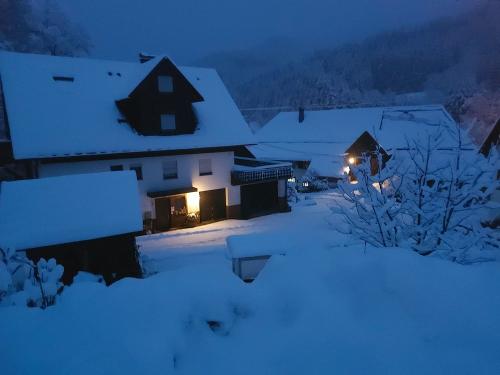 Gästehaus im Winter