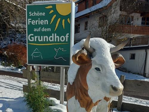 Hofschild