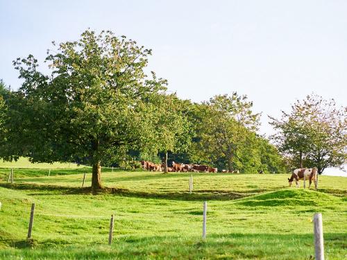 Danielenhof Weidemilch