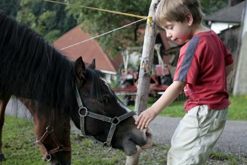 Ponys Resi und Rocky
