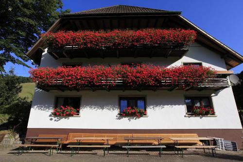 Vitztinerhof