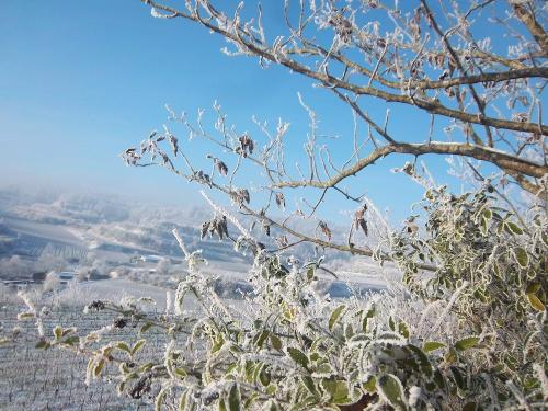 Winterzauber