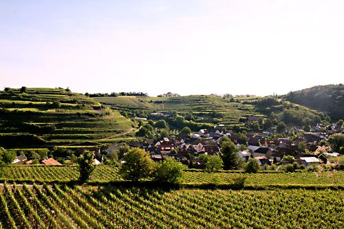 endingen-amoltern3