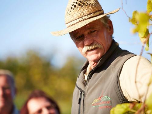 Führung im Weinberg