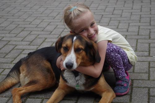kuscheln mit Senta
