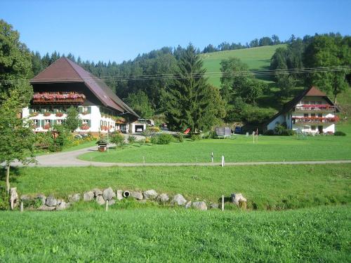 Schlegelhansenhof