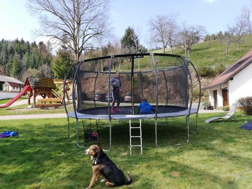 Trampolin