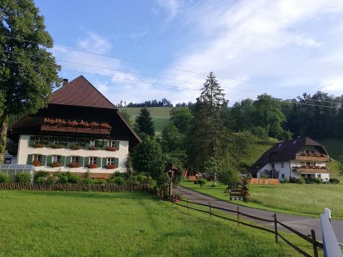 Hofblick