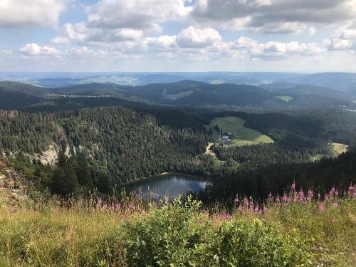 Feldsee
