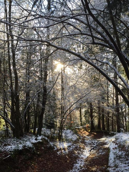 Puderschnee