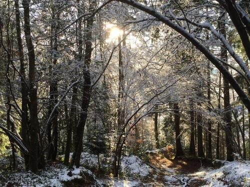 Puderschnee Puderschnee