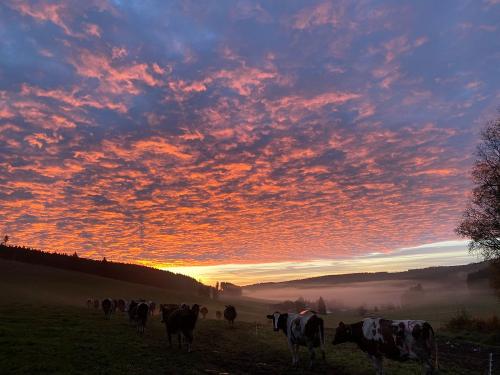 Sonnenaufgang
