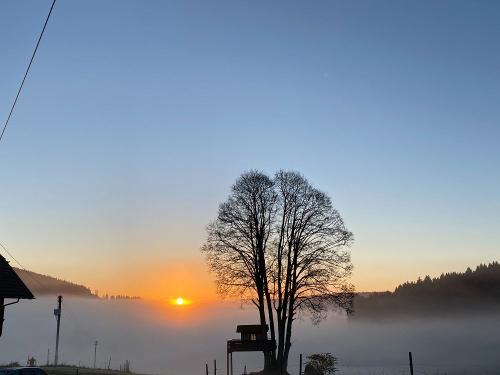 Sonnenaufgang