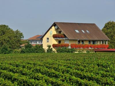 Idyllische Lage in den Weinbergen