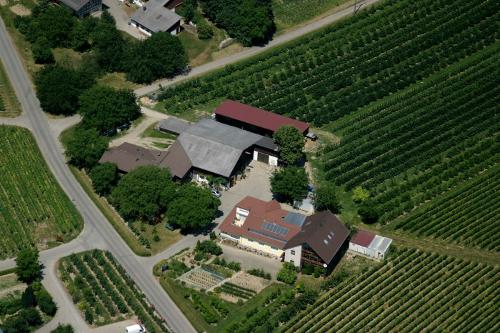 Luftaufnahme Ferienhof Walter