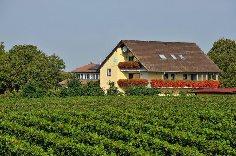 Idyllische Lage in den Weinbergen