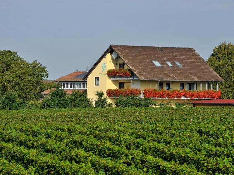 Idyllische Lage in den Weinbergen