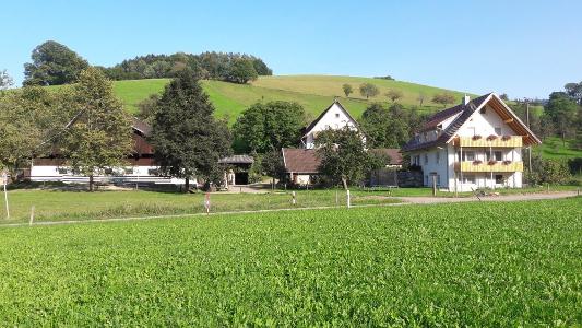 Antonihof im Glottertal