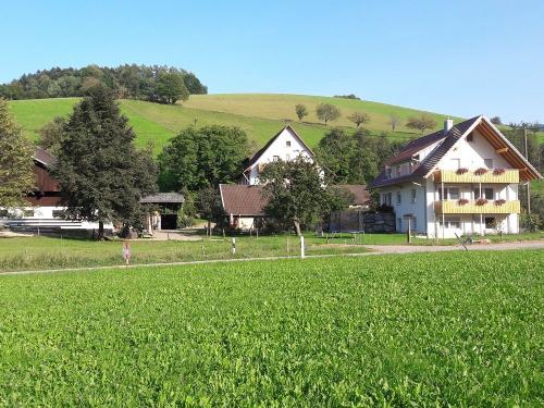 Antonihof im Glottertal Antonihof im Glottertal