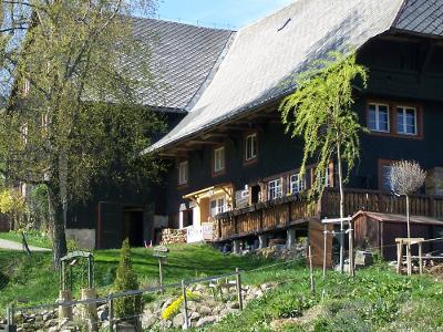 Der Scherzingerhof