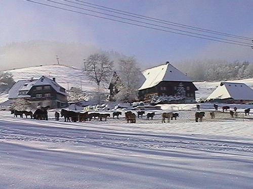 Hofansicht im Winter