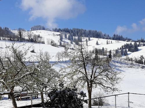 Aussicht