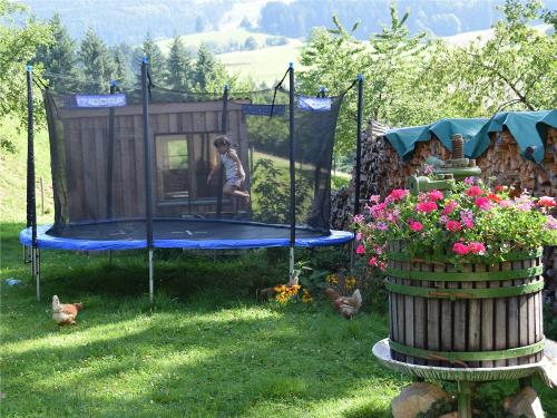 Das große Trampolin zum Auspowern