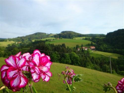 Blick vom Balkon zum "Frauenhemd"