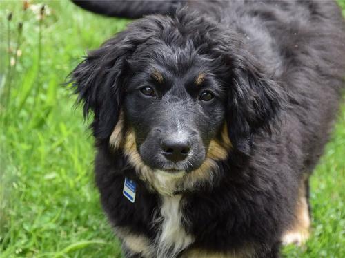 Unsere kinderliebe Luna