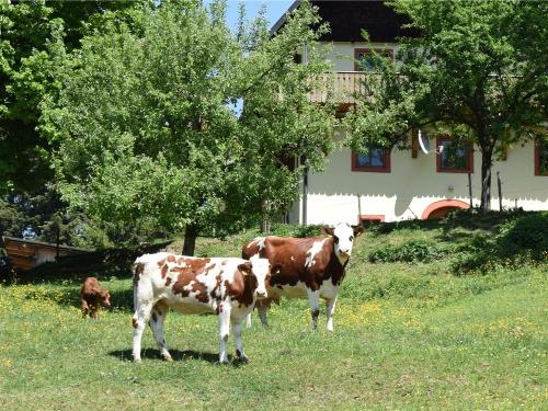 unseremutterkhegenieendiesommerweide