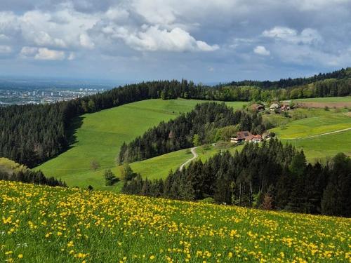 Marxenhof mit Freiburg im Hintergrund