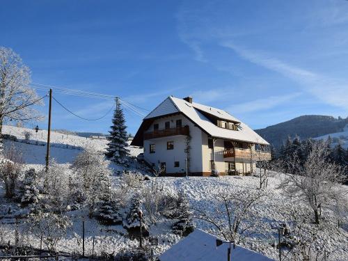 Ferienhaus im Schnee