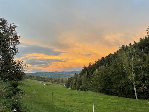 Aussicht
