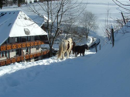 Taennlebuckhof im Winter