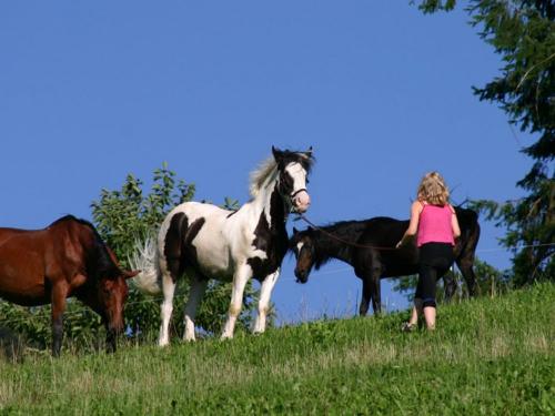 Tännlebuckhof Tännlebuckhof