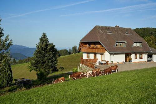 Kuhaustrieb