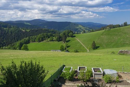 Ausblick