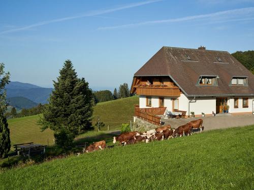 Kuhaustrieb