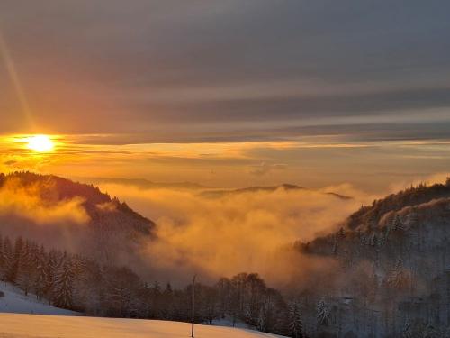 Winterbild 2025