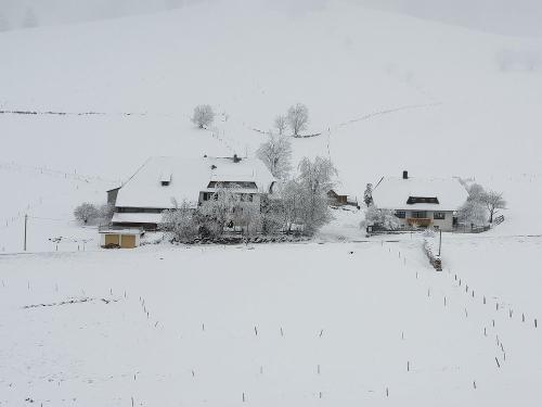 mittlereritzenwaldhofimwinter