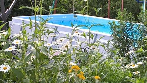 bildergalerien-maierhof-10-7