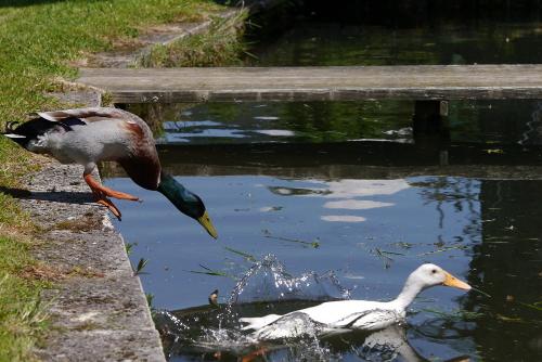 bildergalerien-maierhof-135-10