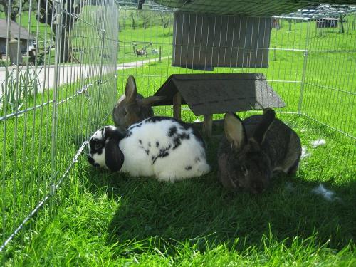 bildergalerien-maierhof-162-4