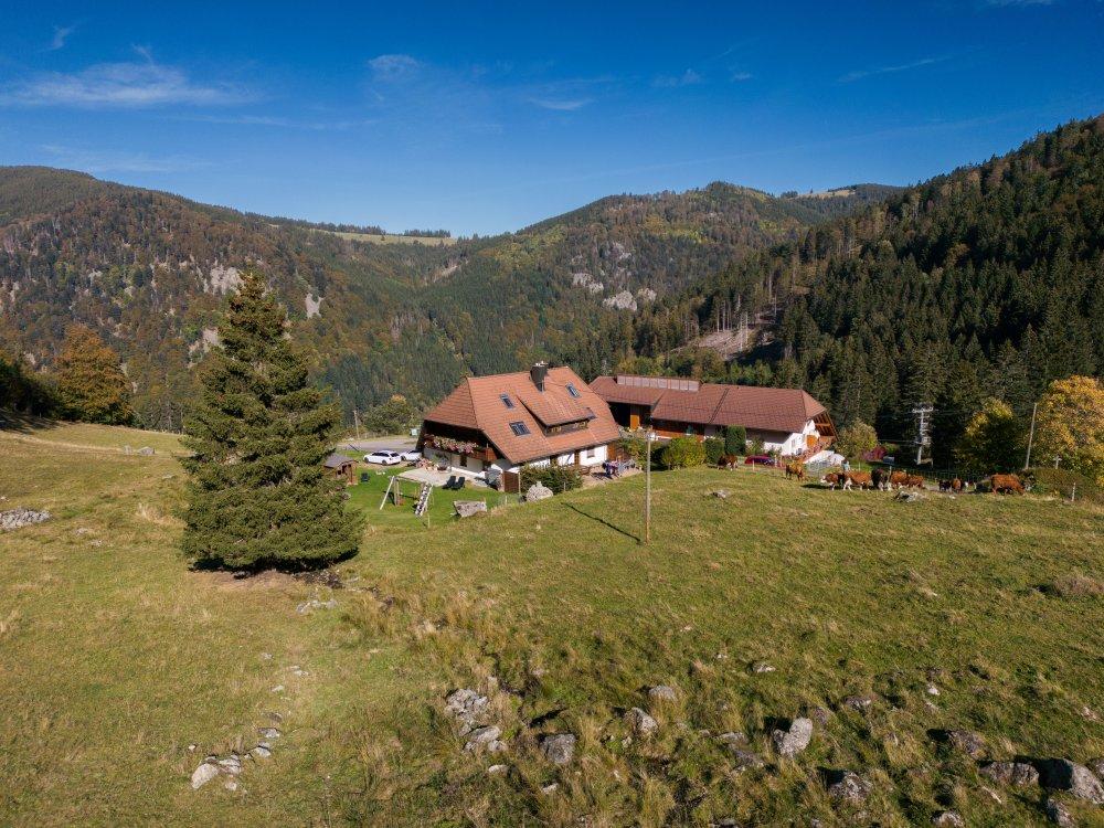 Spisingerhof Spisingerhof